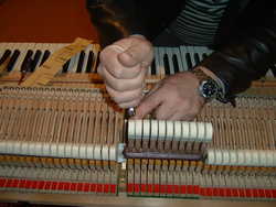 repeticija4