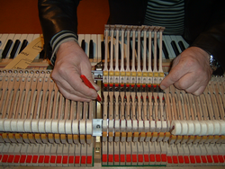 repeticija5