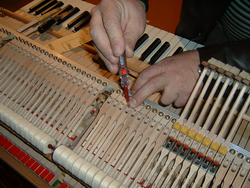 repeticija6